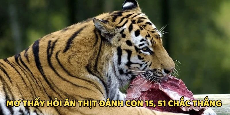 Chiêm bao thấy hổ ăn thịt đánh con 51, 15 sáng cửa Chiêm bao thấy hổ ăn thịt đánh con 51, 15 sáng cửa